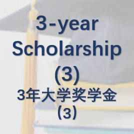 3-year University Scholarship（3）三年大学奖学金（3）