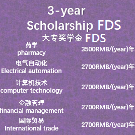 3-year University Scholarship FDS 三年大学奖学金 FDS