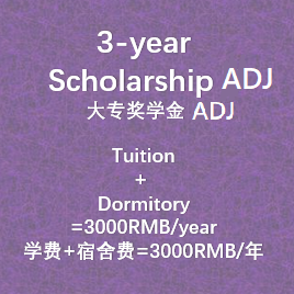 3-year University Scholarship ADJ 三年大学奖学金ADJ